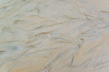 close up view beach sand background の写真素材