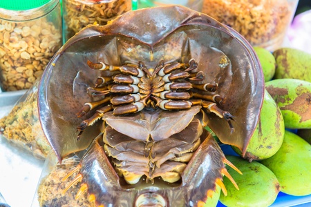 ready to eat seafood on the beachの写真素材