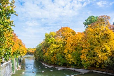 Beautiful Colorful Autumn Leaves 