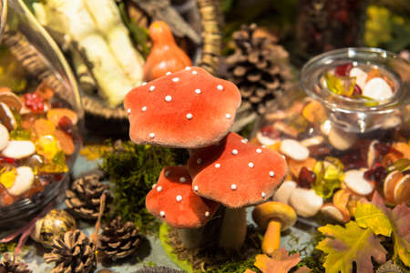 two spotted toadstools 