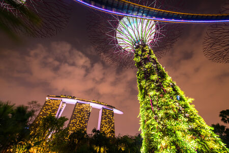 Gardens by the Bay - SuperTree Grove in Singaporeのeditorial素材