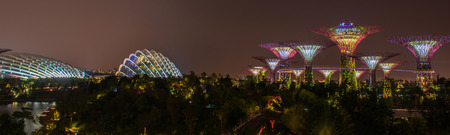 Gardens by the Bay - SuperTree Grove in Singaporeのeditorial素材