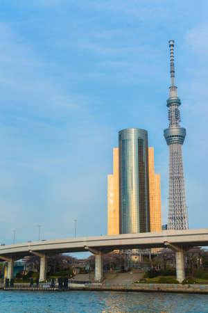 Tokyo city and Tokyo skytree at dusk