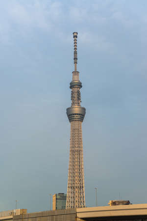 Tokyo city and Tokyo skytree at dusk