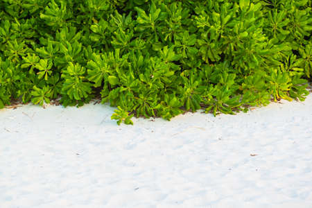 Sand beach and ocean wave, South Male Atoll. Maldivesの写真素材
