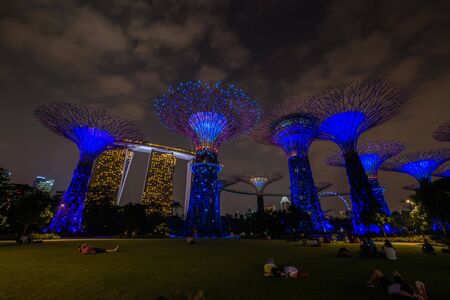 Gardens by the Bay - SuperTree Grove in Singaporeのeditorial素材