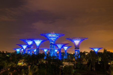 Gardens by the Bay - SuperTree Grove in Singaporeのeditorial素材