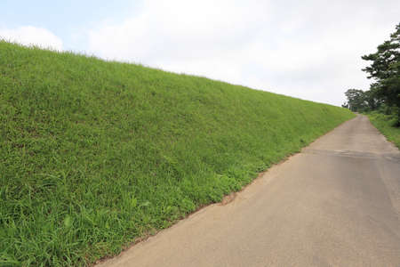 A beautiful road to see in Jeju Islandの写真素材