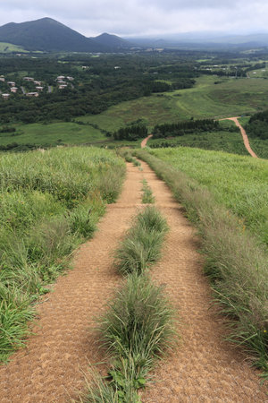 A beautiful road to see in Jeju Islandの写真素材