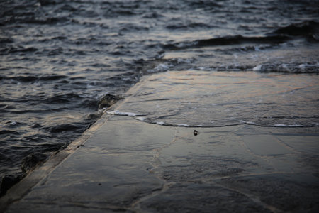 Living Ecosystem of Jeju Island Beachの写真素材