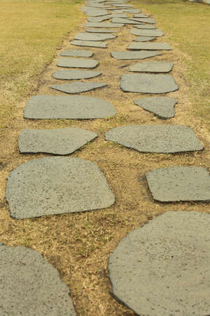 Stepping stones placed on the lawn