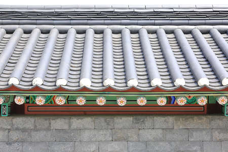 Landscape of pine trees growing high in the skyの写真素材