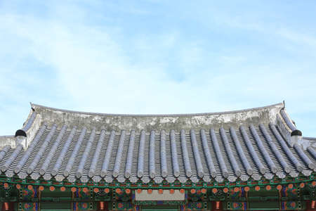 Landscape of pine trees growing high in the sky