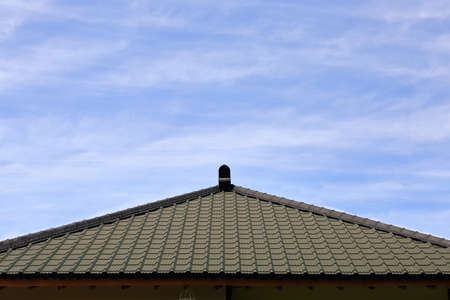 Landscape of pine trees growing high in the sky