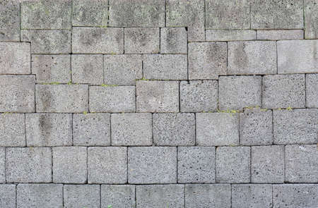 Landscape of pine trees growing high in the skyの写真素材