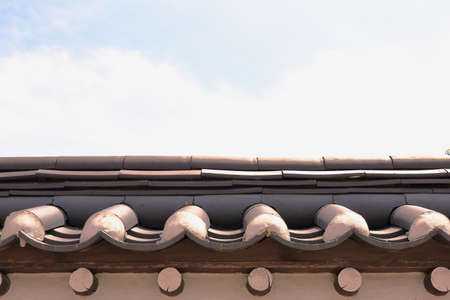 Landscape of pine trees growing high in the skyの写真素材