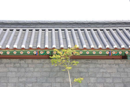 Landscape of pine trees growing high in the skyの写真素材