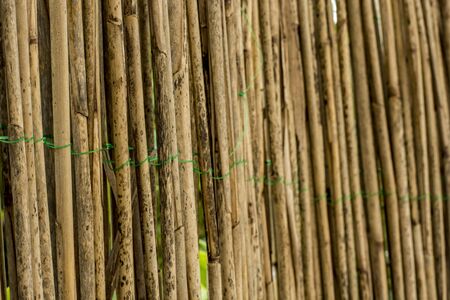 Fence out of bamboo polesの写真素材
