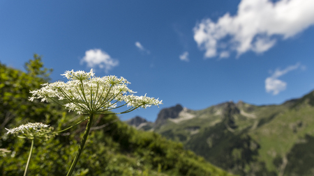 Goutween in front of mountain landscape and blue skyの写真素材