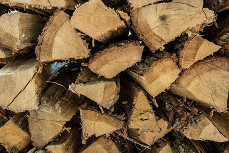 Background or texture - Stack of firewood