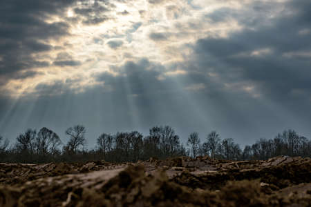 Sunrays shining through cloud cover on farmlandの写真素材