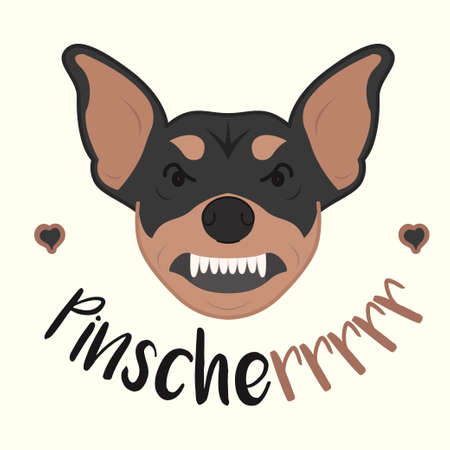 Pinscher face vector illustration. Cute dog with teeth out. Black and brown colors. White background.のイラスト素材