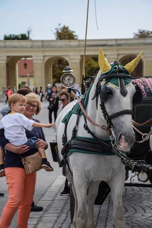 Vienna, Austria, September , 15, 2019 - 
Tourist taking pictures and caressing 
Carriage Horses from  in the Schonbrunn Palaceのeditorial素材