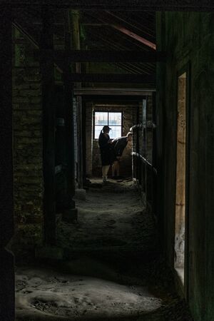 Oswiencim, Poland - September 21, 2019: Sleeping quarters with wooden bunk beds showing prisoners terrible living conditions  at The Nazi concentration camp of birkenau in Oswiecim, Poland, a UNESCO World Heritage.のeditorial素材
