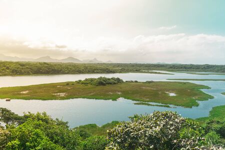 A river of almost standing water has vegetation on both sides, there is an island in the middle of the river which, in its center, has some bush.の写真素材
