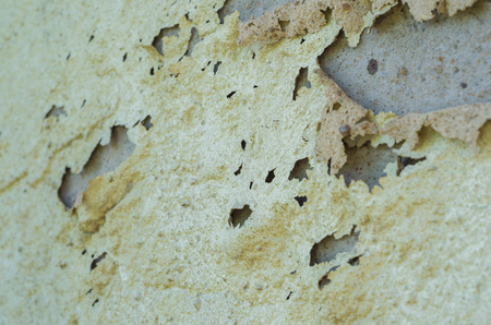 Wall with peeling paint, paint problem. Inadequate paint system, water infiltration.の写真素材