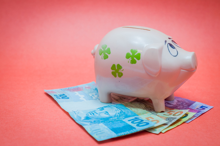Great concept of economy, piggy bank, real Brazilian money notes.の写真素材