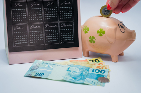 Great concept of economy, piggy bank, real Brazilian money notes.の写真素材