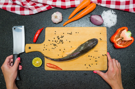 Preparing a gastronomic fish dish, catfish, caucasian woman hands preparing food, seen from above.の写真素材