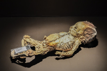 GUANAJUATO, MEXICO - May 06, 2013: El Museo De Las Momias, mummies of Guanajuato, buried in 1833 due to a cholera epidemic, a natural mummification.のeditorial素材