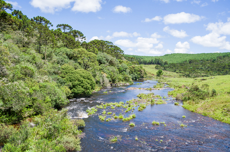 Landscape of the gaucho mountain range, araucarias, mountains and rivers. City of Bom Jesus, SÃ£o JosÃ© dos Ausentes.の写真素材