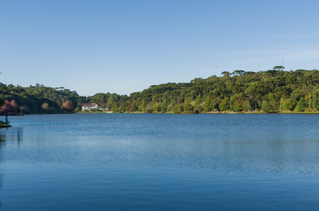 Great concept of autumn, beautiful trees of the genus Platanus with reddish leaves signaling the fall, San Bernardo lake in San Francisco de Paula, Brazil.の写真素材