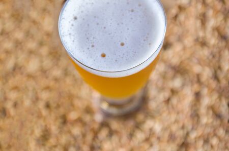 Glass of beer viewed from above with malt in the backgroundの写真素材