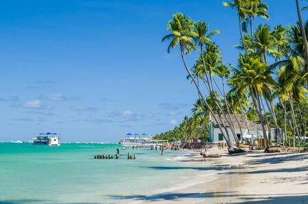 Holiday shadow, beautiful image of Carneiros beach in Pernanbuco Brazil, great holiday concept image with blue water sea and coconut palm shadow.の写真素材