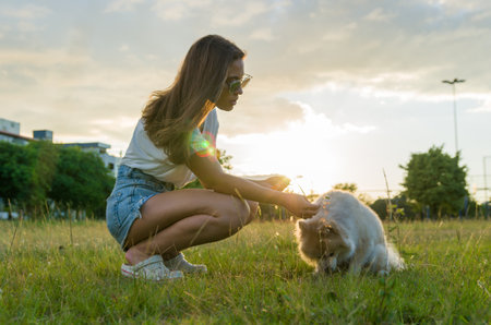 Young beautiful woman playing with German Spitz dog in the summer parkの写真素材