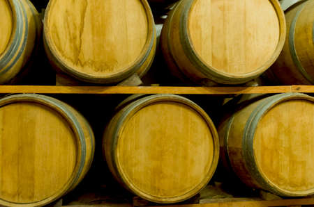 Oak barrels for wine aging in an underground cellar in Vale dos Vinhedos