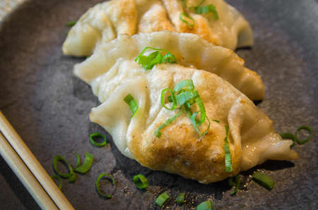 Beautiful gyoza or dumplings snack with soy sauce, selective focus, copy space.の写真素材