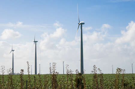Windmills during bright summer day with blue sky, clean and renewable energy concept.の写真素材
