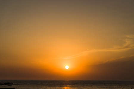 Beautiful sunset on Uruguayan beach with plants in the foregroundの写真素材