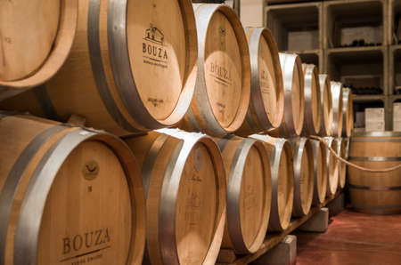 Montevideo, Uruguay - 13th January 2022 - Oak barrels from famous Bodega Bouza, winery of fine wines from uruguay.のeditorial素材
