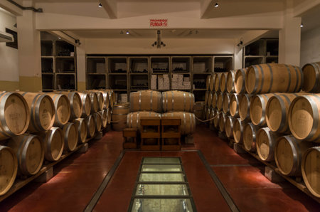 Montevideo, Uruguay - 13th January 2022 - Oak barrels from famous Bodega Bouza, winery of fine wines...