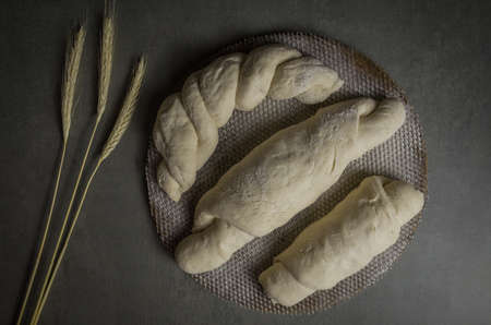Sourdough bread fermenting, gray background with dried wheat flower