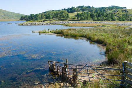Wales, Snowdonia national park. Landscape of lake Gader by Beddgeltert forest. Tranquil summer scene with calm waters in the foreground and wooded hillsides in the background. Blue sky and copy space.の写真素材