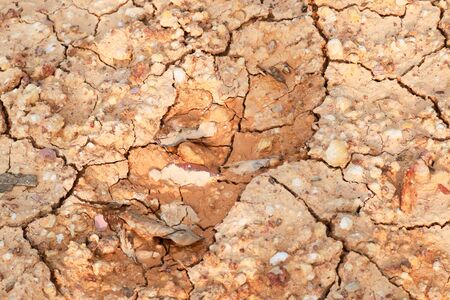 Orange and yellow leaves are dry on cracked ground. Arid land Arid land The surface is gray. Autumn leaves on the ground, leaving only small water of the soil surface.の写真素材