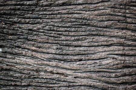 Embossed texture of the brown bark.Tree bark texture. Seamless bark tree texture. texture of bark wood use as natural backgroundの写真素材