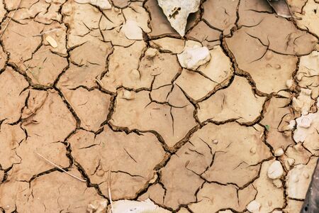 Orange and yellow leaves are dry on cracked ground. Arid land Arid land The surface is gray. Autumn leaves on the ground, leaving only small water of the soil surface. cracked ground for background. no hot water, lack of moisture.の写真素材